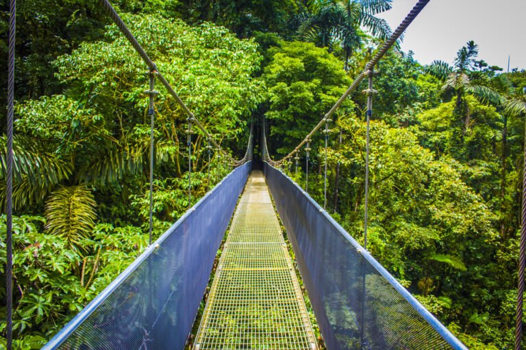 Mistico Park Hanging Bridges Arenal Volcano Park