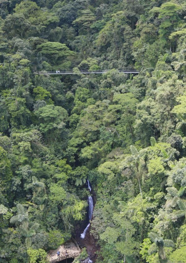 Mistico Park Hanging Bridges Arenal Volcano Park