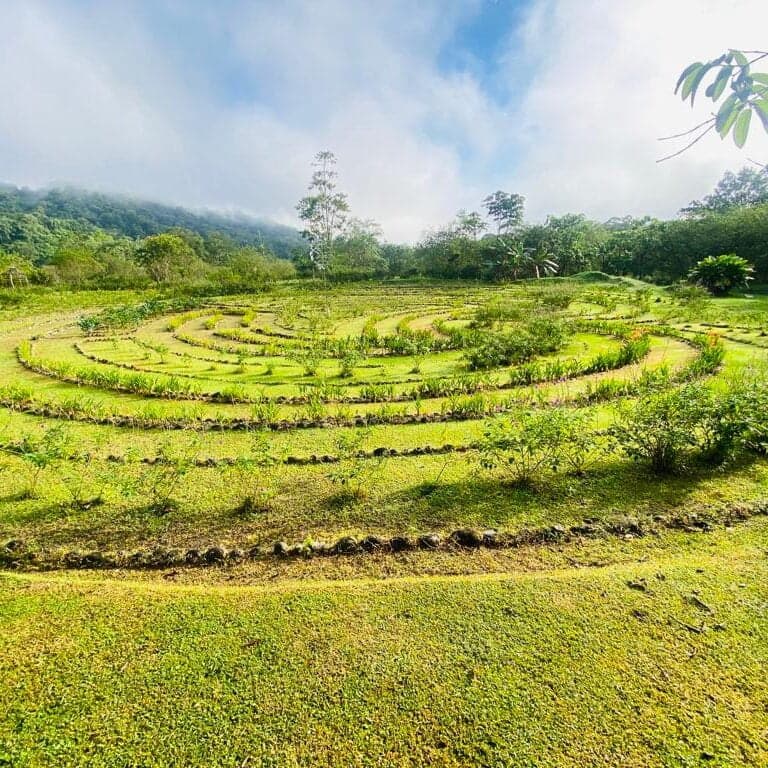 Wellness Park