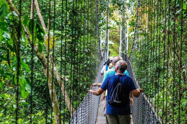 Mistico Park Hanging Bridges