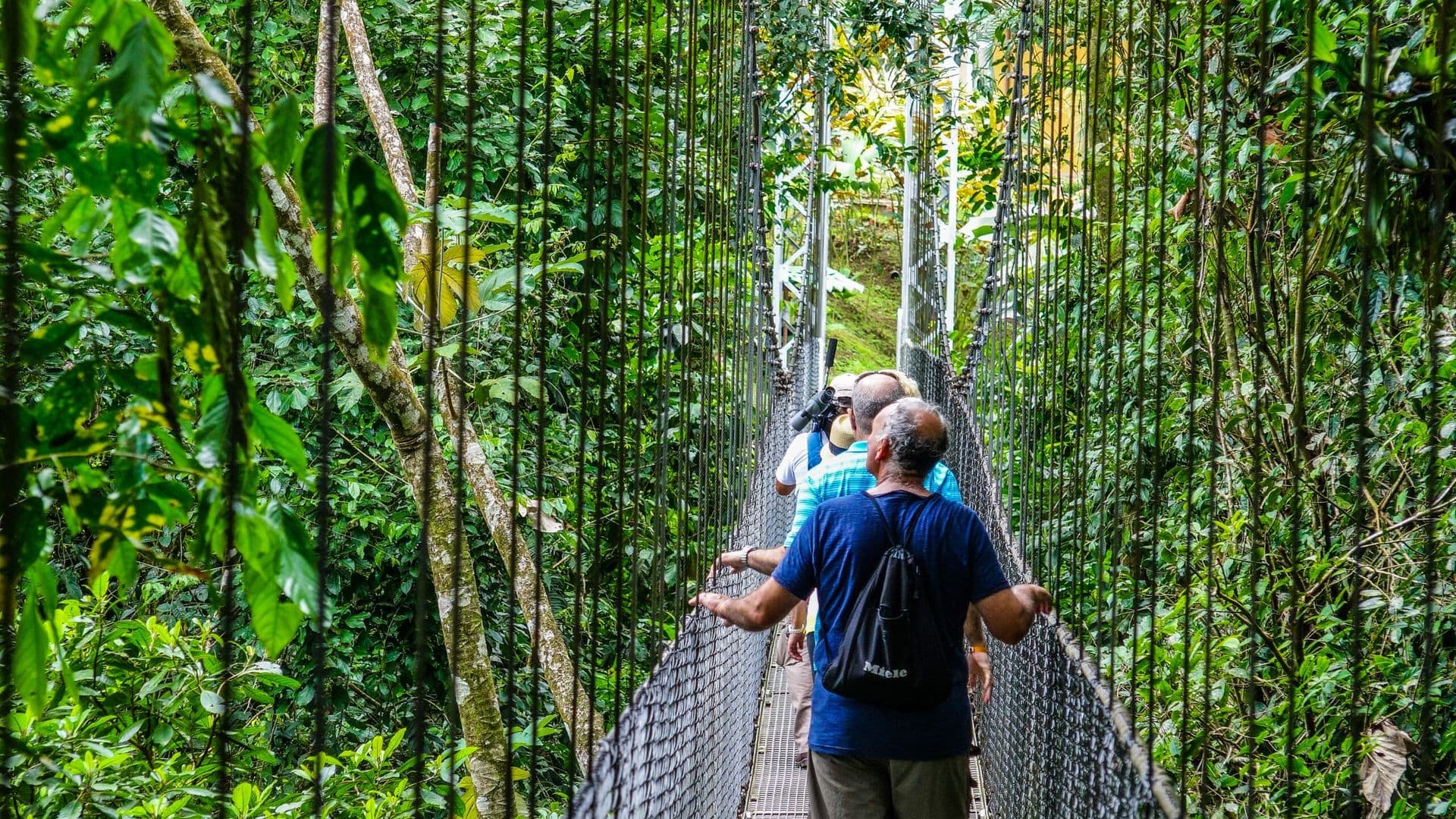 Hanging Bridges + Waterfall Rappelling
