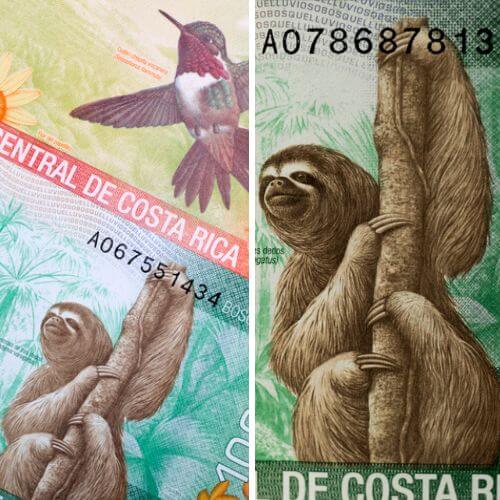 Costa Rican currency featuring sloths